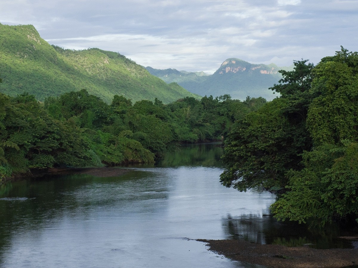 Bamboe rafting  (Activiteit 1 uur)