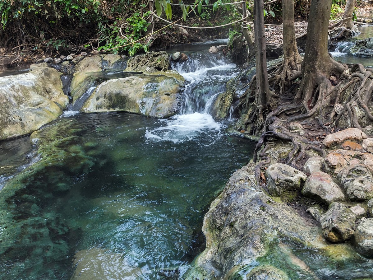 Jungle Hotsprings & Spa