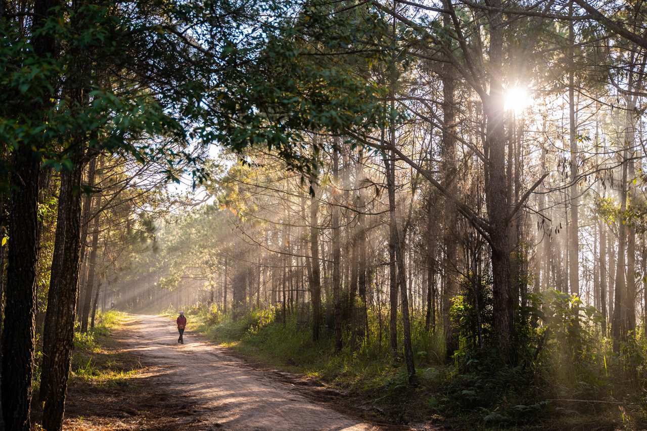 nongkhai sala kaew ku