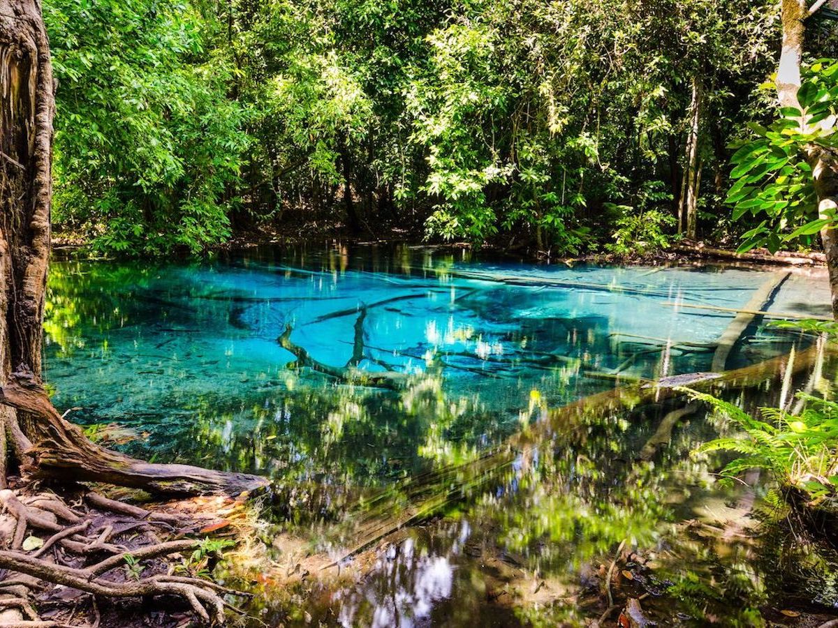 Jungle hot springs & tempel